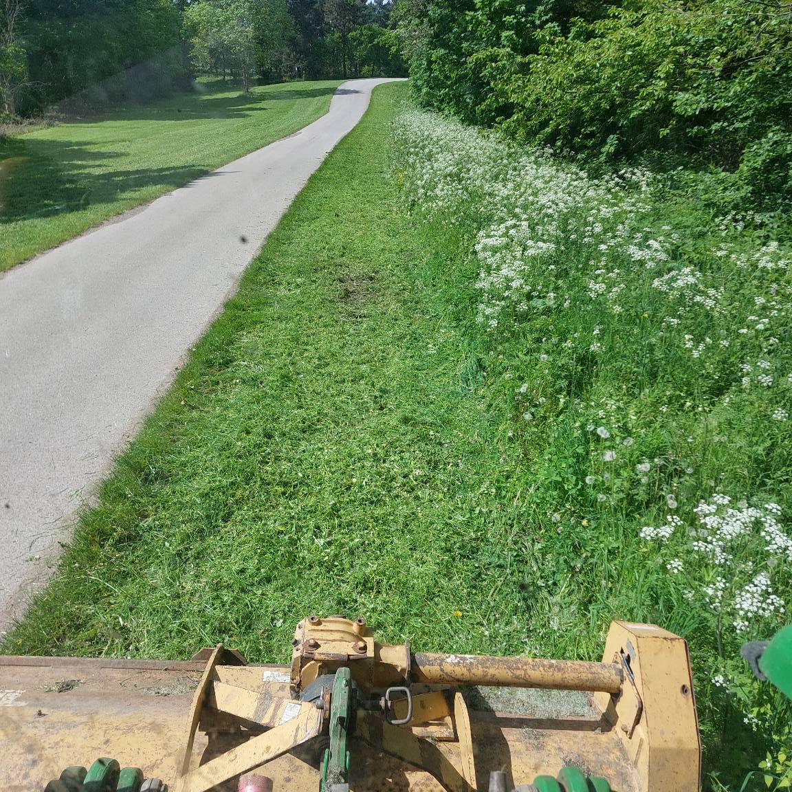 grass cutting