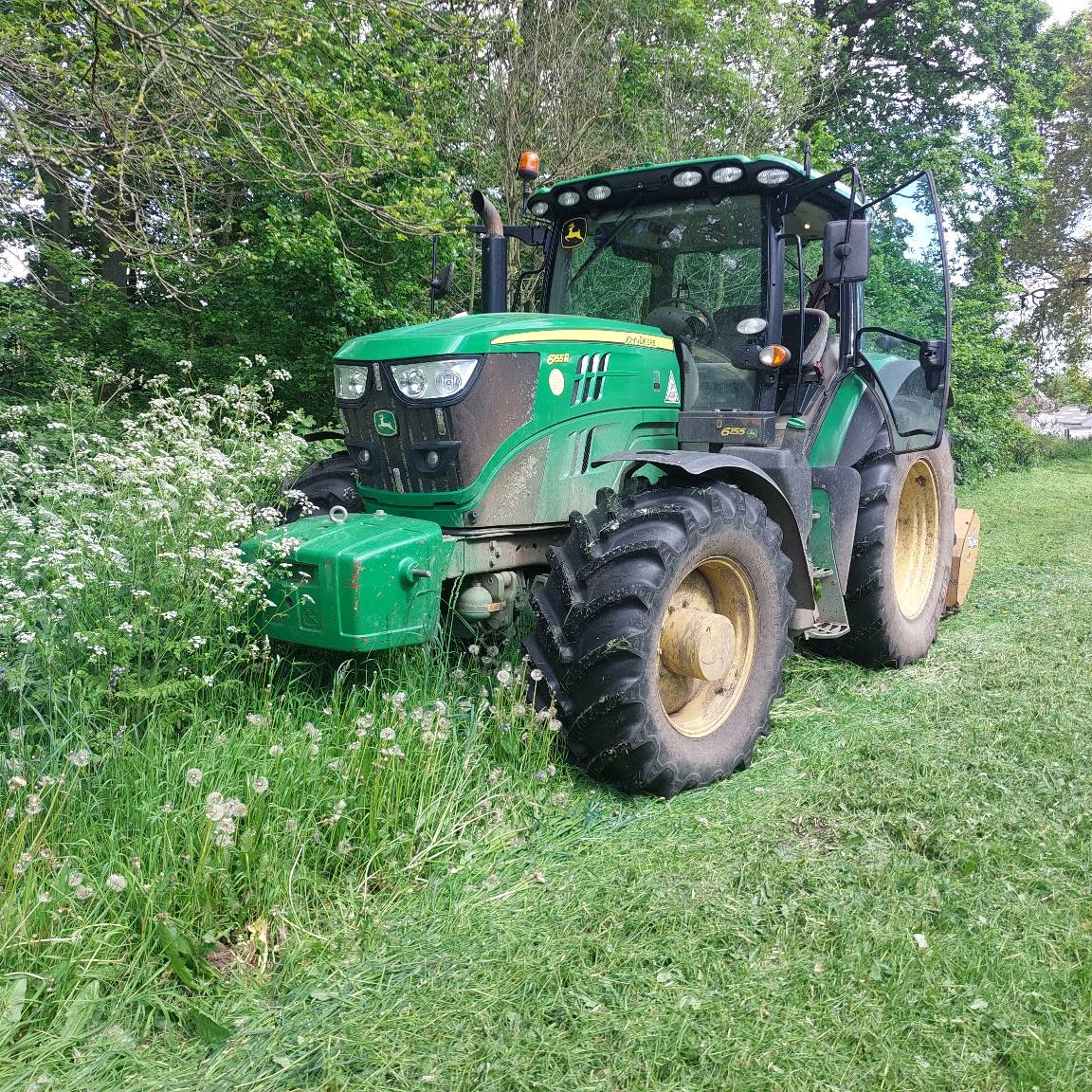 grass cutting