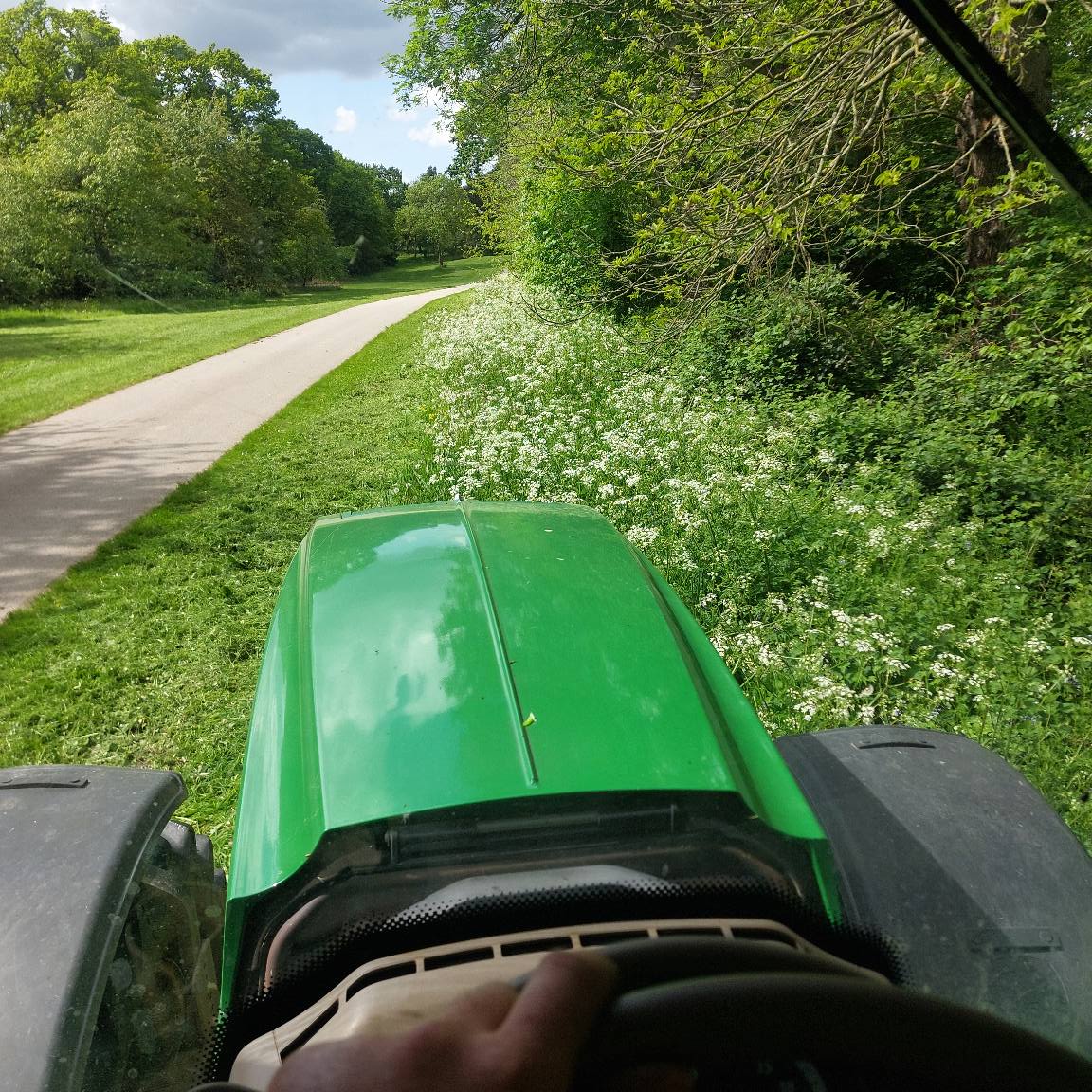 grass cutting