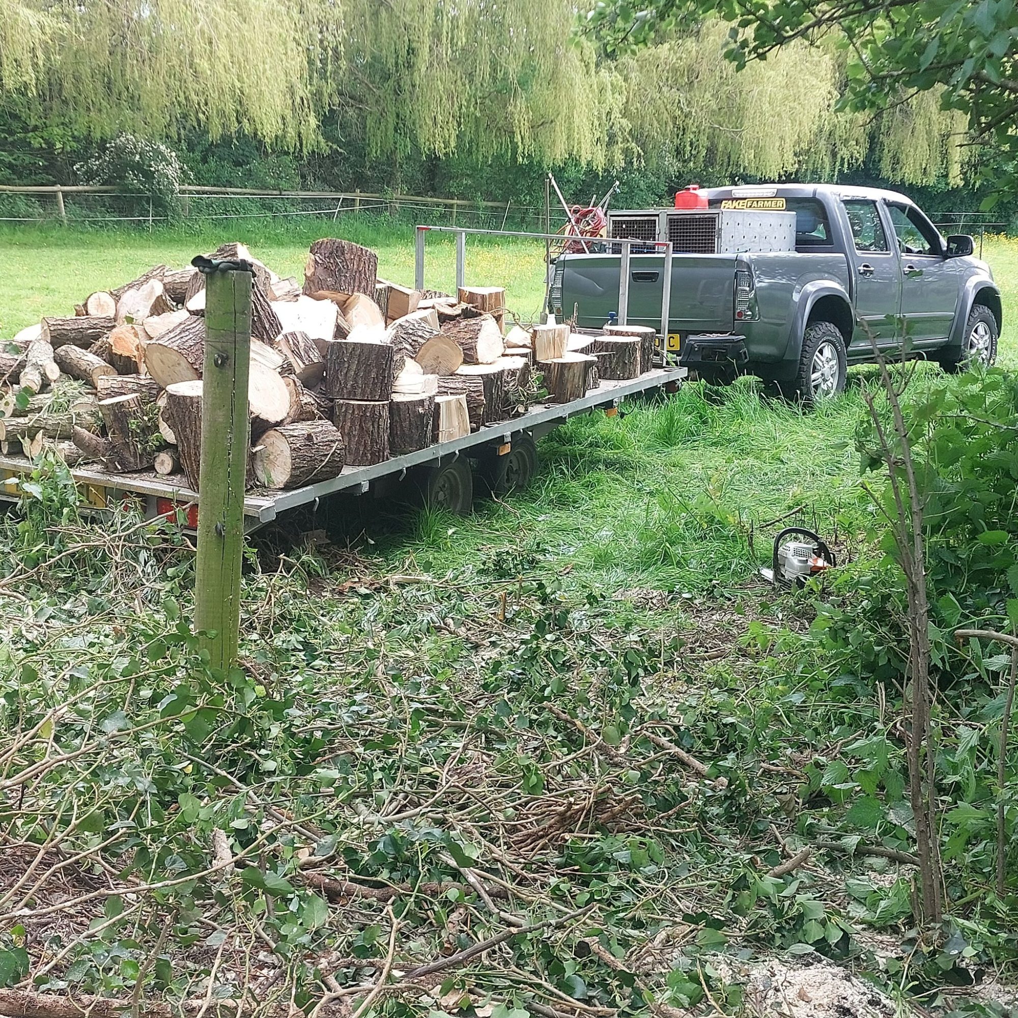 tree cutting