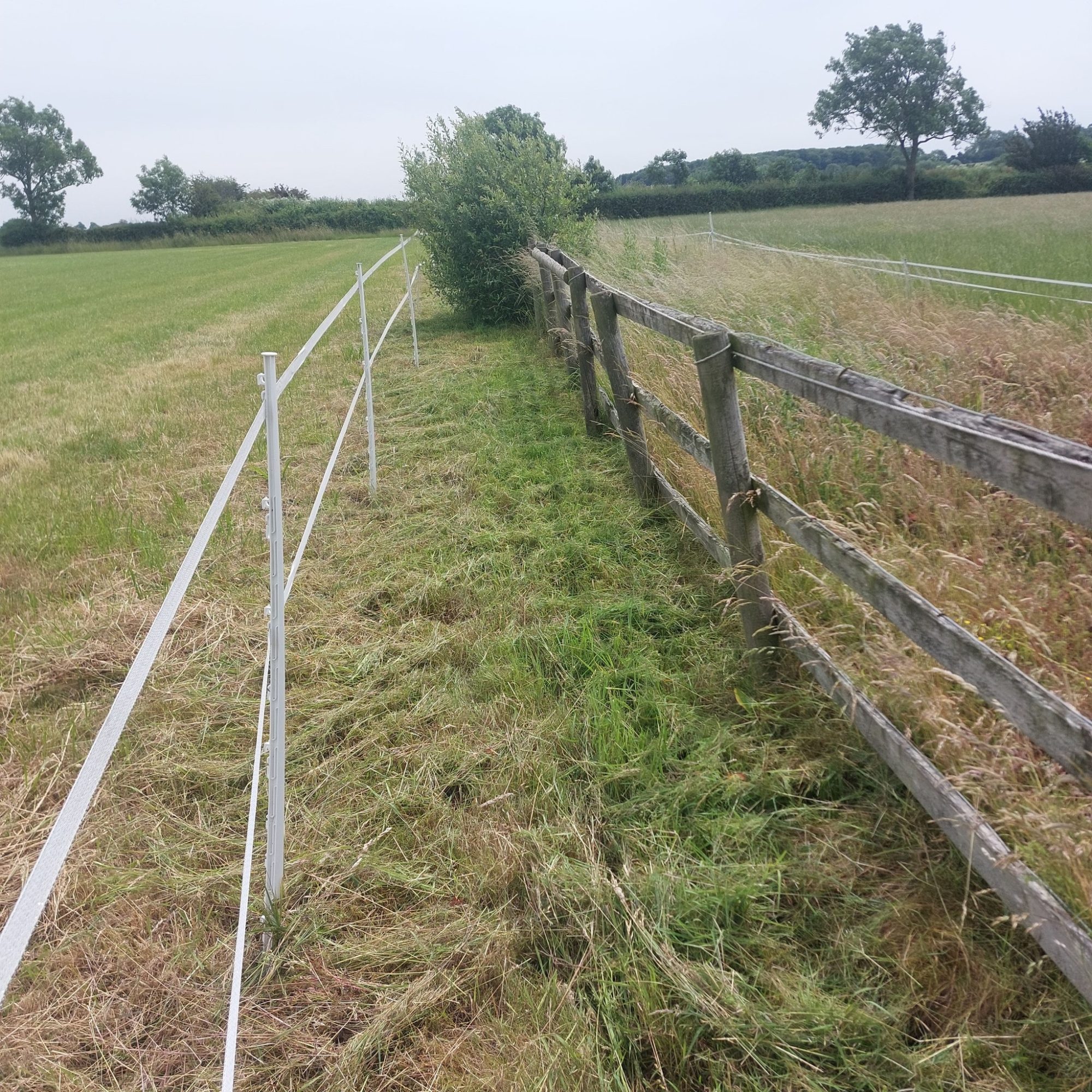 fencing