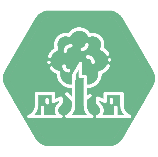 Tree Work
